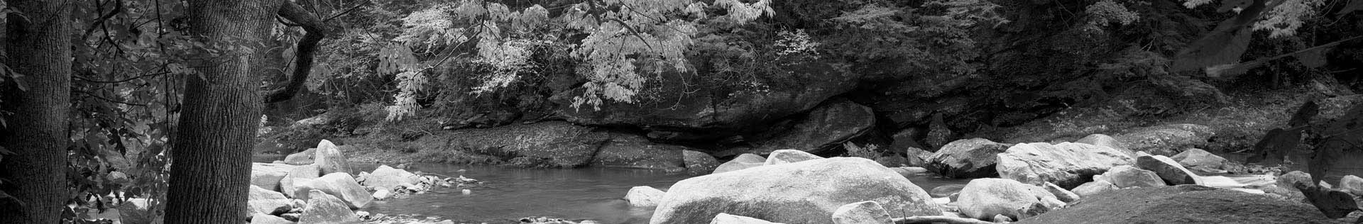 black and white photo of the French Broad River